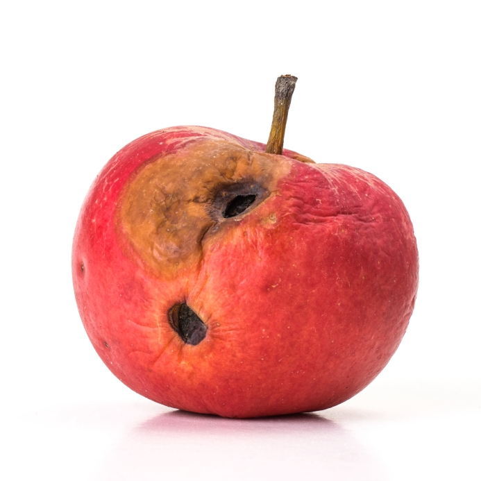 Picture of a rotten apple. Think it's easy to fire bad employees? Make sure you're protecting yourself from employer liabilities.