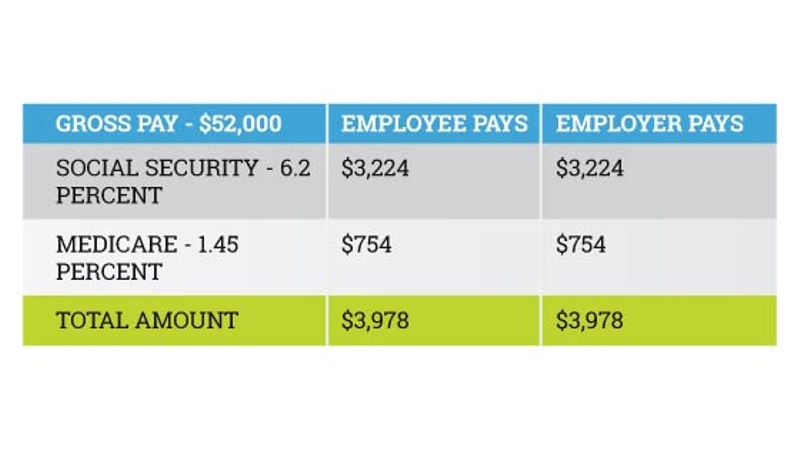 Annual breakdown of payroll taxes for a small business employee.