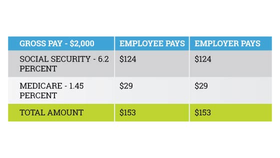Per paycheck breakdown of payroll taxes for a small business employee.