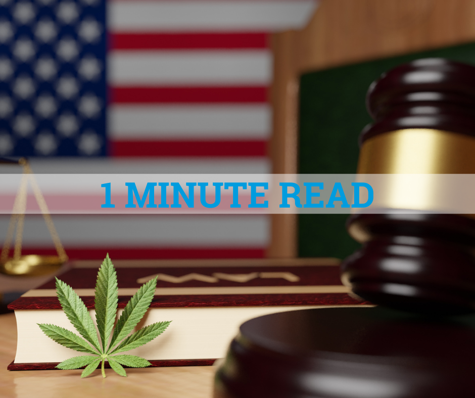 Blog image for Employer Guidance For New Jersey Cannabis Regulator Issues