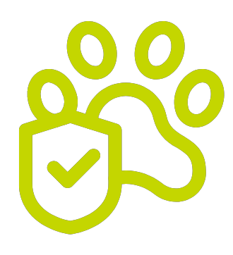 Pet