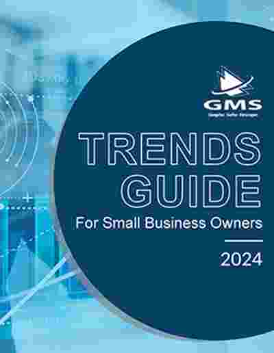 2024 Trends Guide For Small Business Owners  image