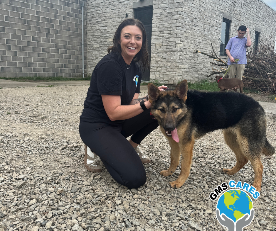 GMS Cares Volunteers Support Animal House Shelter