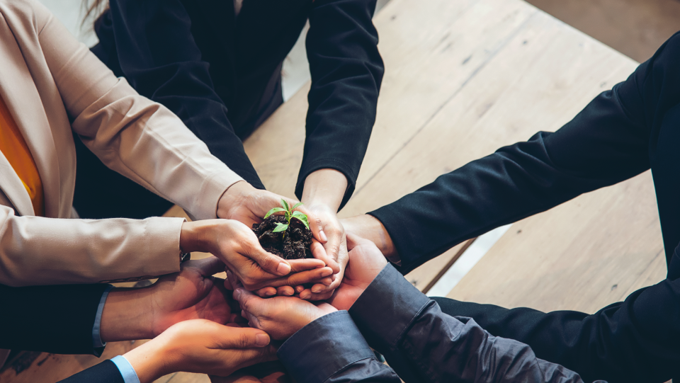 PEOs Let You Focus More On Growing Your Business