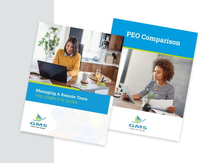 Understanding PEOs