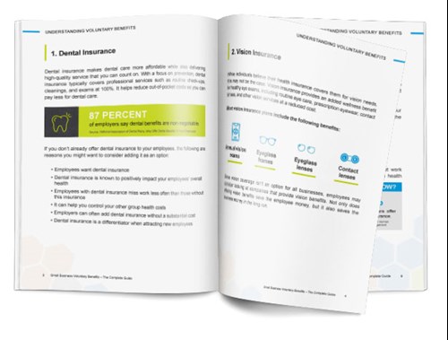 Open 'Understanding Voluntary Benefits' booklet showing dental and vision insurance pages